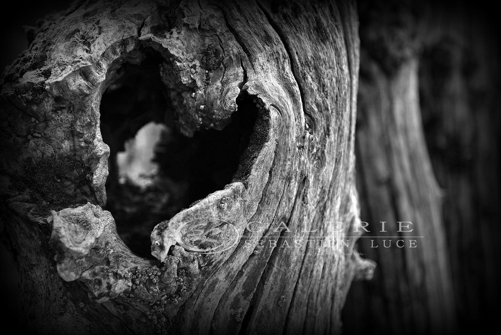 √ 100 ou plus image noir et blanc coeur 131095-Image noir et blanc coeur