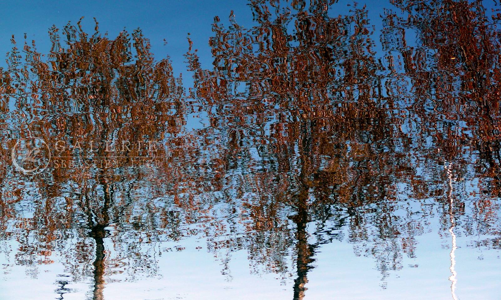 Mer-Nature  - Photographie Photographies par thématiques Galerie Sébastien Luce