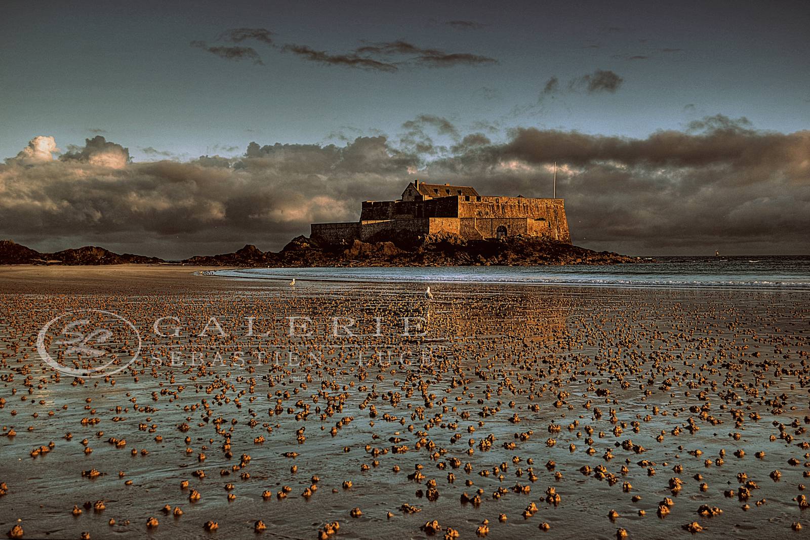 Mer de pépites - Photographie Photographies par thématiques Galerie Sébastien Luce
