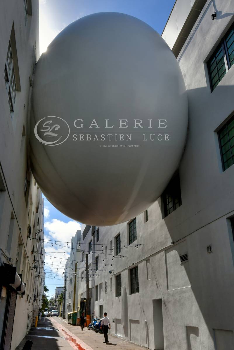 Oeuf - Photographie Photographies par thématiques Galerie Sébastien Luce