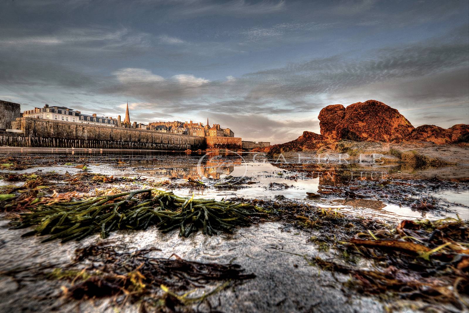 Algue Marine - Photographie Photographies par thématiques Galerie Sébastien Luce