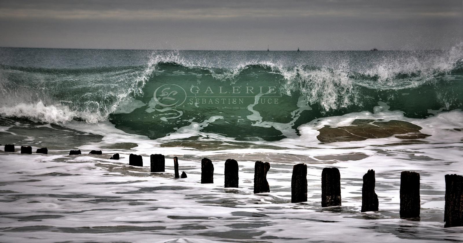 Vert Emeraude - Photographie Photographies d'art en édition limitée Galerie Sébastien Luce