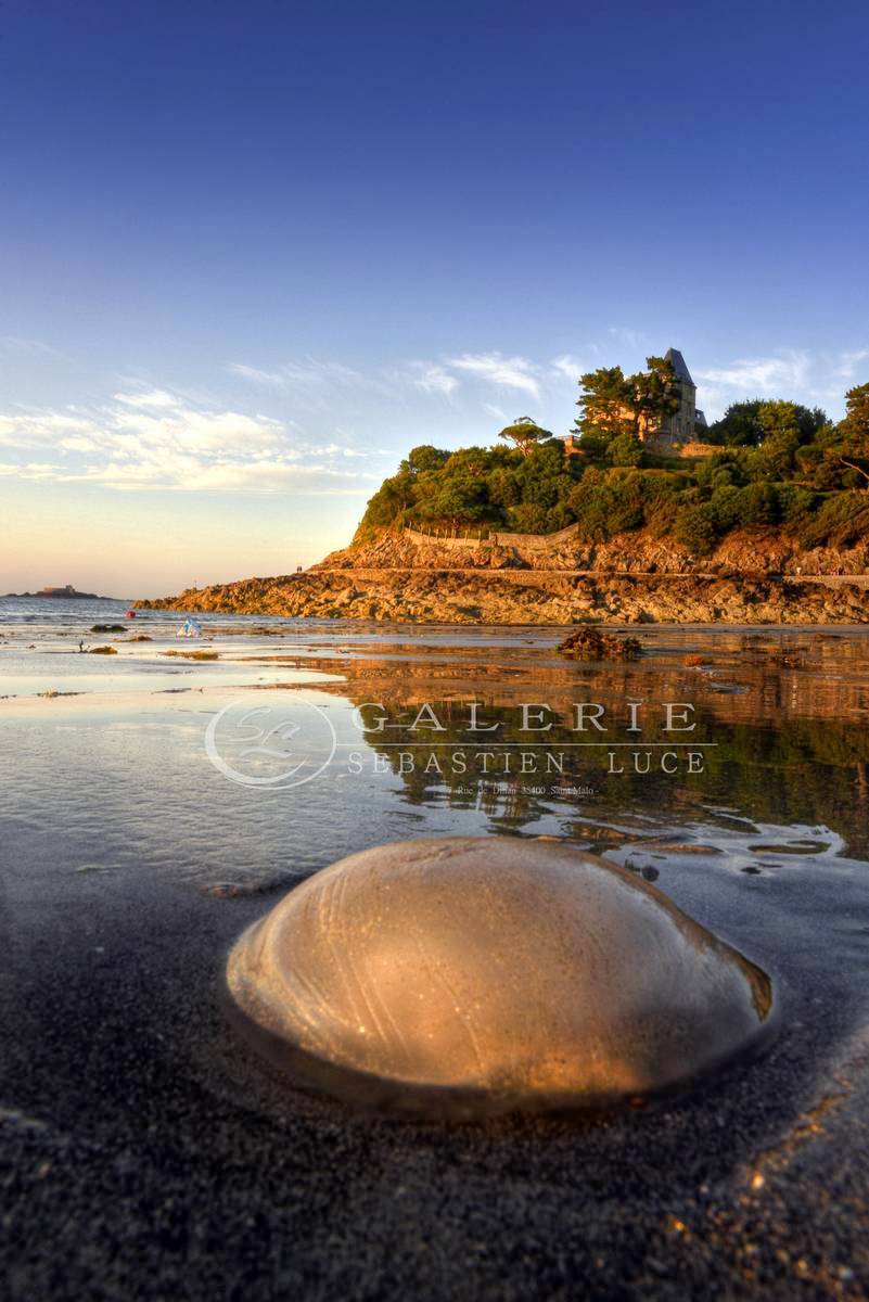  Méduse d´Or  - Dinard - Photographie Photographies par thématiques Galerie Sébastien Luce