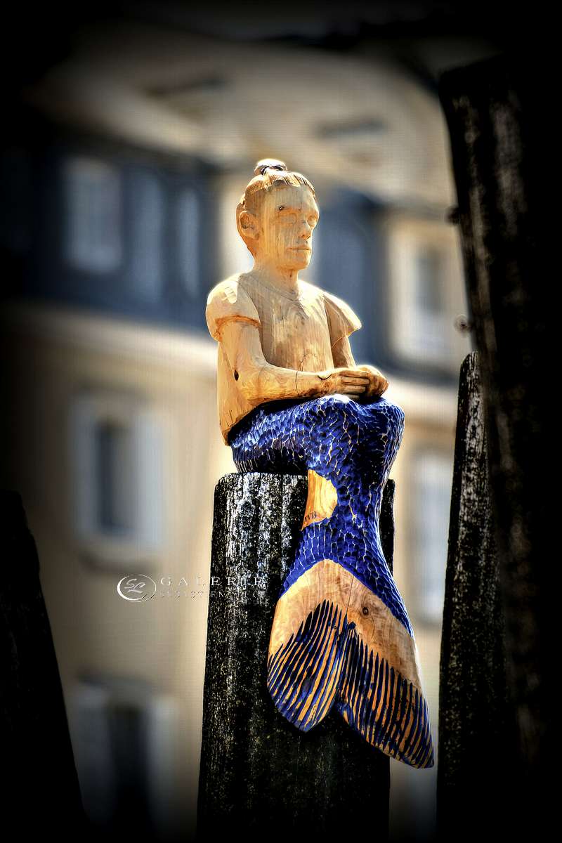 la sirène du sillon