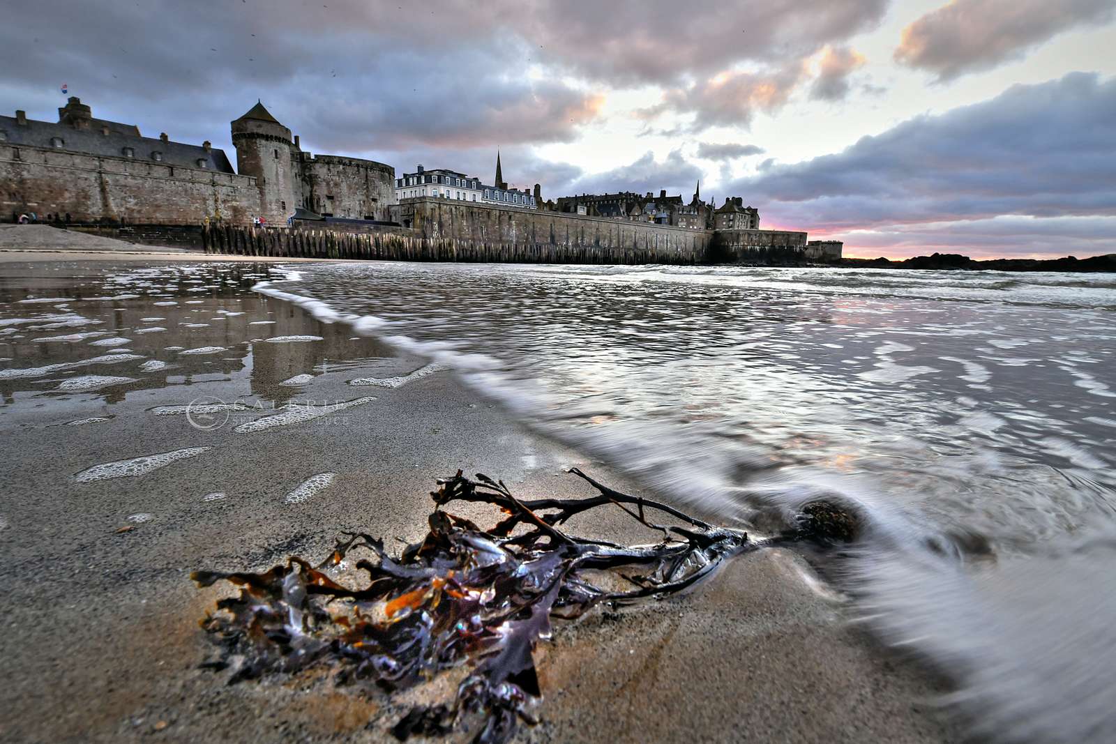 corail breton - saint malo - Photographie Photographies par thématiques Galerie Sébastien Luce