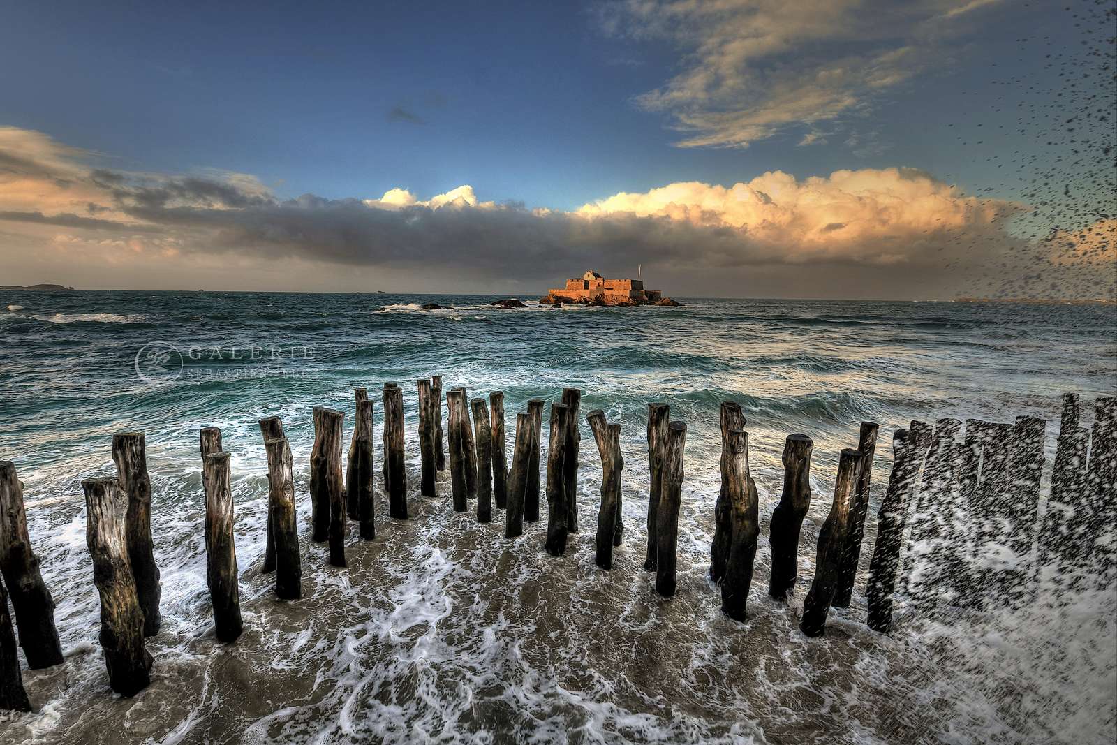 Bretagne Focus  - Photographie Photographies d'art en édition limitée Galerie Sébastien Luce