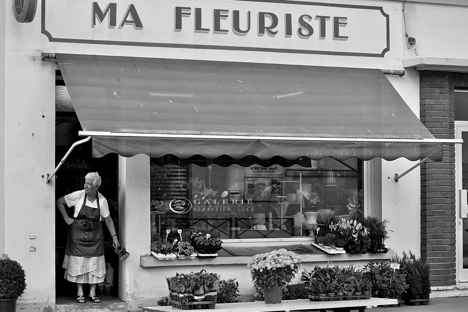 Ma Fleuriste