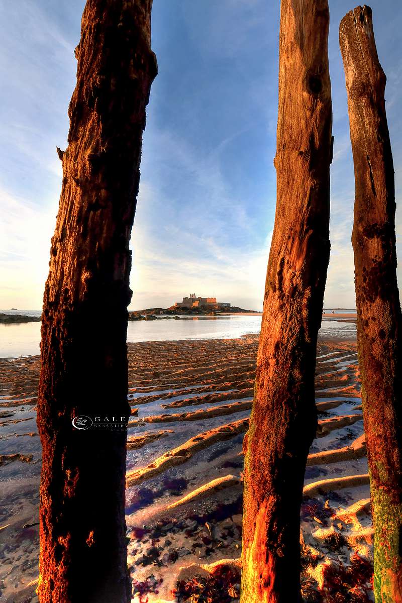 éventail de chaleur  - saint malo  - Photographie Photographies par thématiques Galerie Sébastien Luce