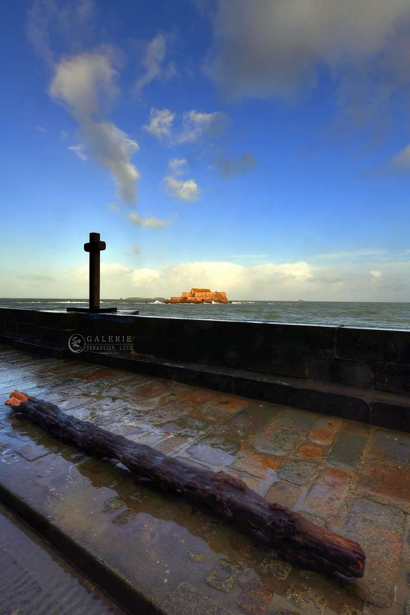 force de la nature - saint malo - Photographie Photographies par thématiques Galerie Sébastien Luce