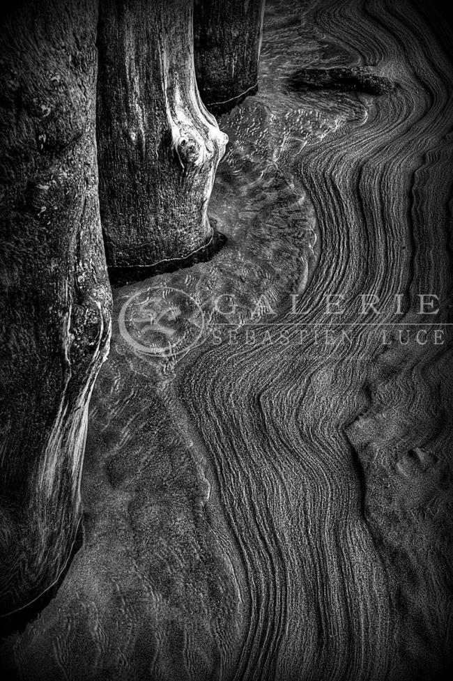  Graphisme Salé - Photographie Photographies par thématiques Galerie Sébastien Luce