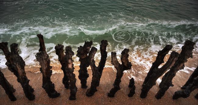  Les Gardiens de la Mer - Photographie Photographies d'art en édition limitée Galerie Sébastien Luce