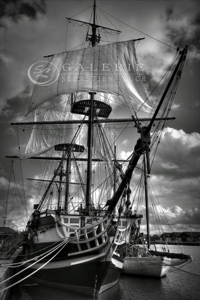 Etoile du Roy - Photographie Photographies par thématiques Galerie Sébastien Luce