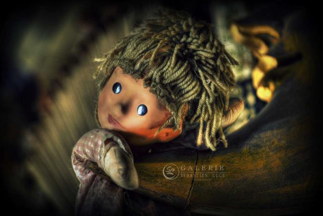 Pimprenelle - Photographie Photographies d'art en édition limitée Galerie Sébastien Luce