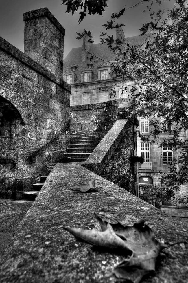 feuille d automne - Photographie Photographies par thématiques Galerie Sébastien Luce