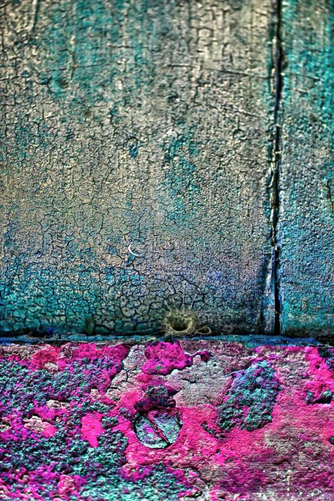 pink - Photographie Photographies d'art en édition limitée Galerie Sébastien Luce