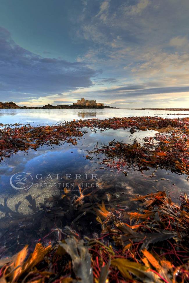 Goût iodé - Photographie Photographies d'art en édition limitée Galerie Sébastien Luce