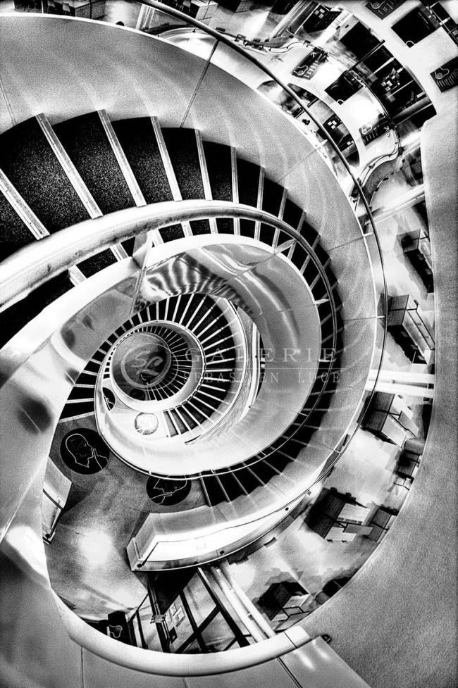 Ammonite Urbaine - Photographie Photographies d'art en édition limitée Galerie Sébastien Luce