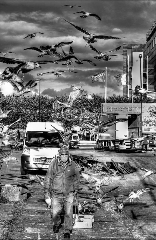 Saint François  - Photographie Photographies d'art en édition limitée Galerie Sébastien Luce