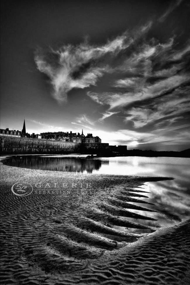 Montrer ses Griffes - Photographie Photographies d'art en édition limitée Galerie Sébastien Luce