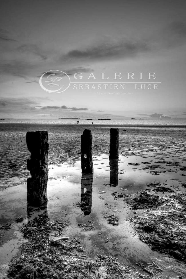 Pieux Marins - Photographie Photographies par thématiques Galerie Sébastien Luce