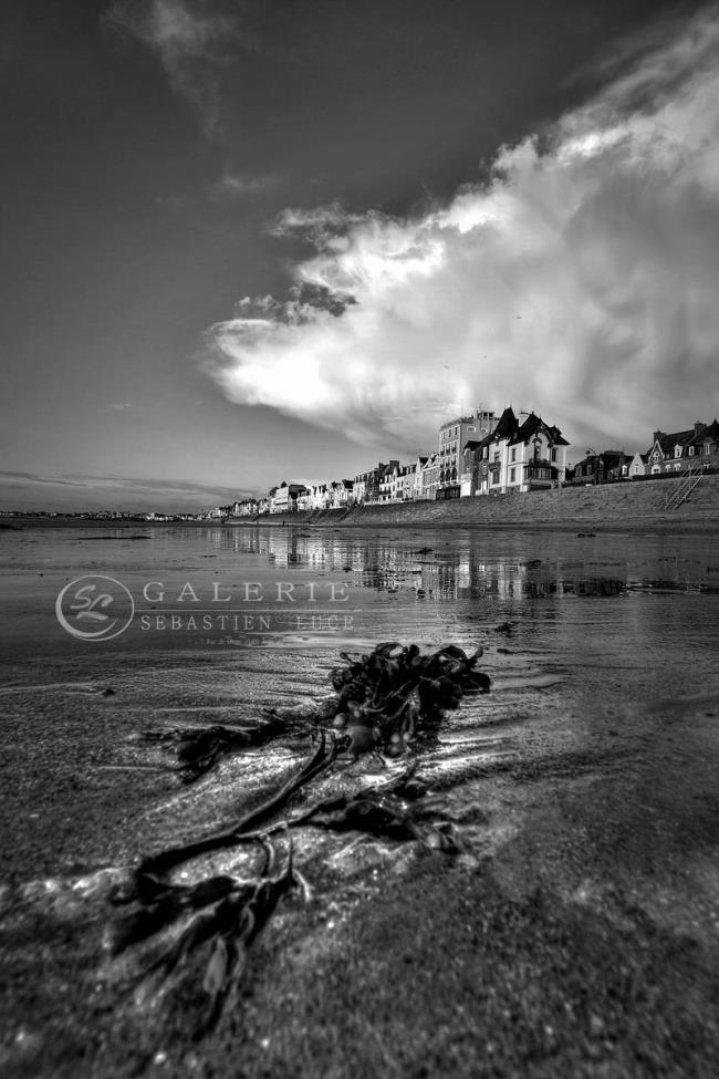 Cheveux de mer - Photographie Photographies par thématiques Galerie Sébastien Luce
