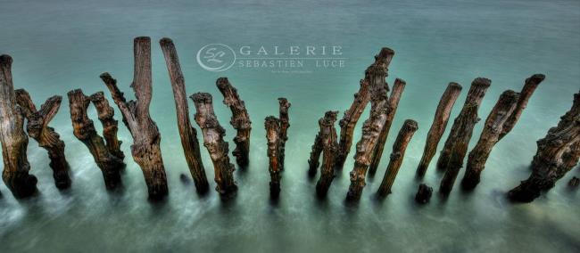 Les gardiens des mers - Photographie Photographies d'art en édition limitée Galerie Sébastien Luce