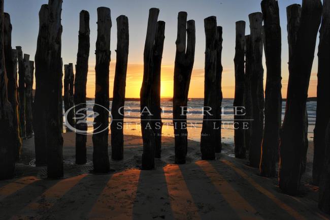 ombre portée - Photographie Photographies d'art en édition limitée Galerie Sébastien Luce