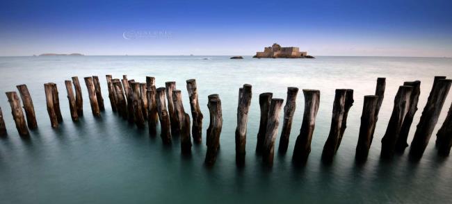 Total Immersion - Photographie Photographies d'art en édition limitée Galerie Sébastien Luce