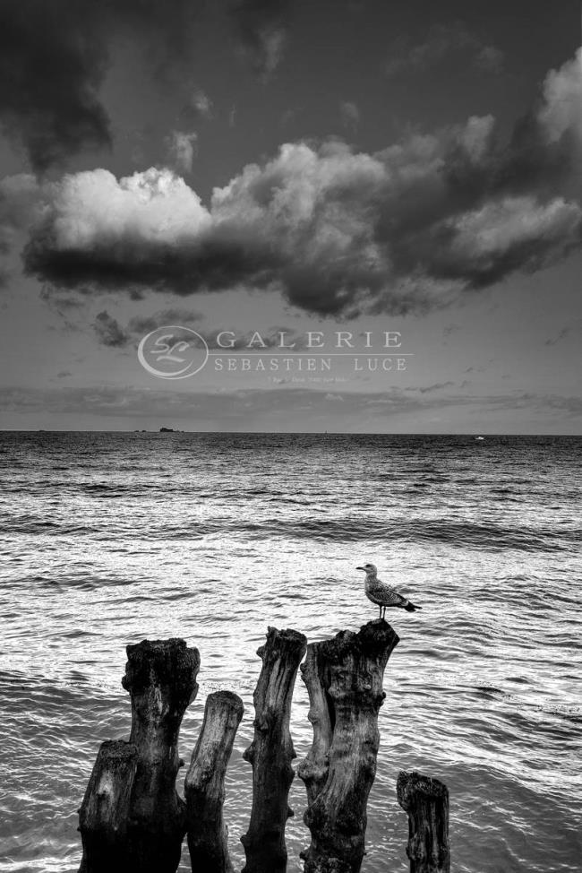 Se mettre en scène - Photographie Photographies d'art en édition limitée Galerie Sébastien Luce