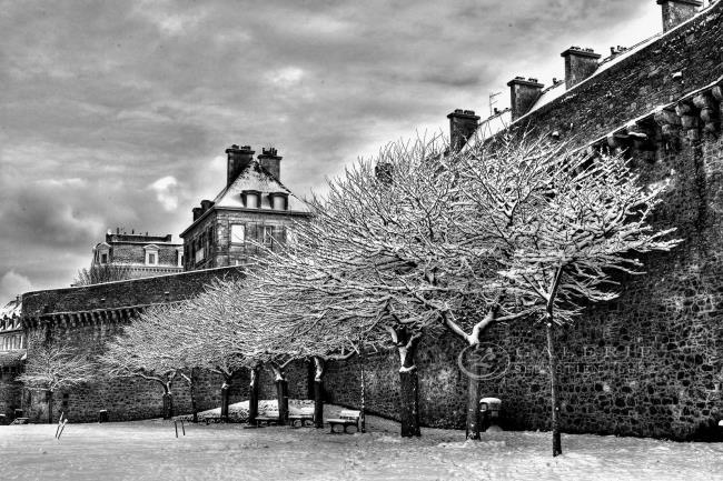 Arbres sous la neige - Photographie Photographies d'art en édition limitée Galerie Sébastien Luce