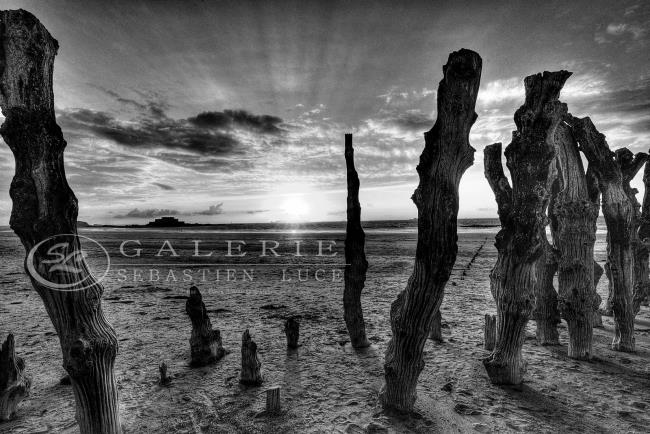 Rayon de lumière - Photographie Photographies par thématiques Galerie Sébastien Luce