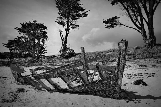 Epave échouée - Photographie Photographies d'art en édition limitée Galerie Sébastien Luce