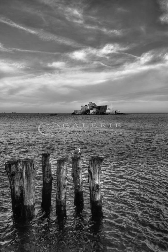 Piédestal - Photographie Photographies par thématiques Galerie Sébastien Luce