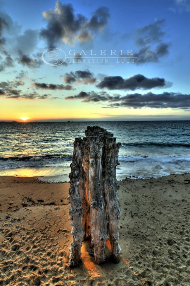 Sillon Braisé - Photographie Photographies d'art en édition limitée Galerie Sébastien Luce