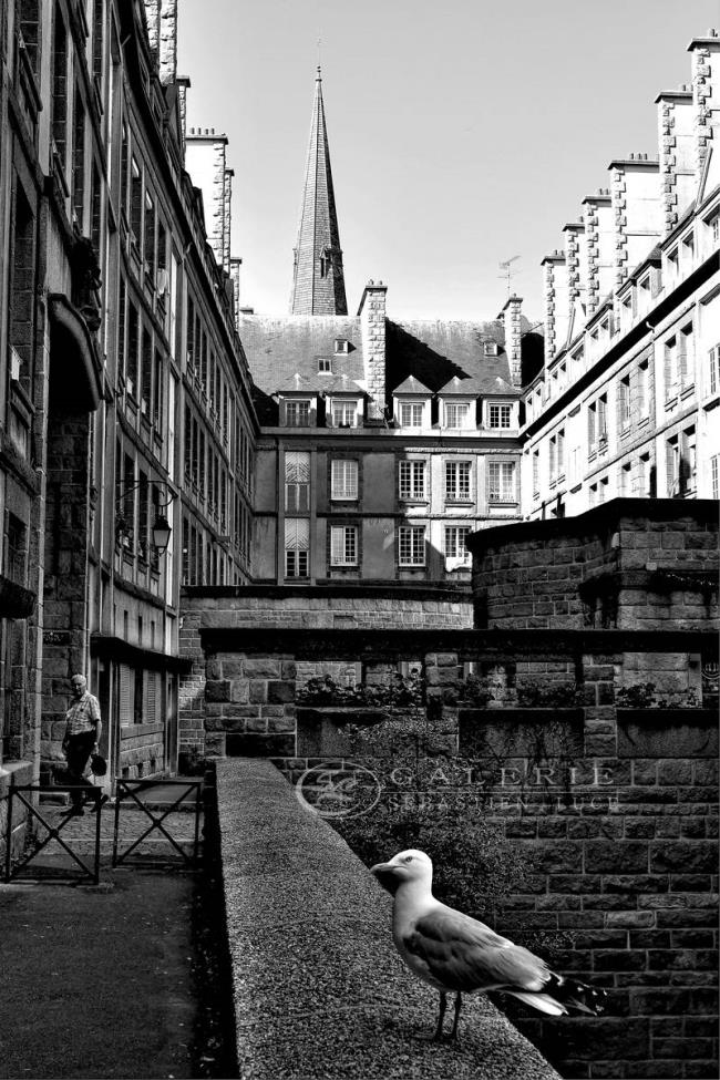 cohabitation - Photographie Photographies par thématiques Galerie Sébastien Luce