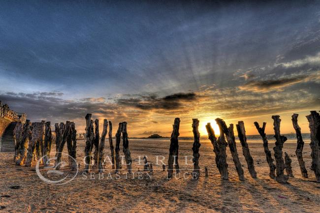 être au garde à vous - Photographie Photographies d'art en édition limitée Galerie Sébastien Luce