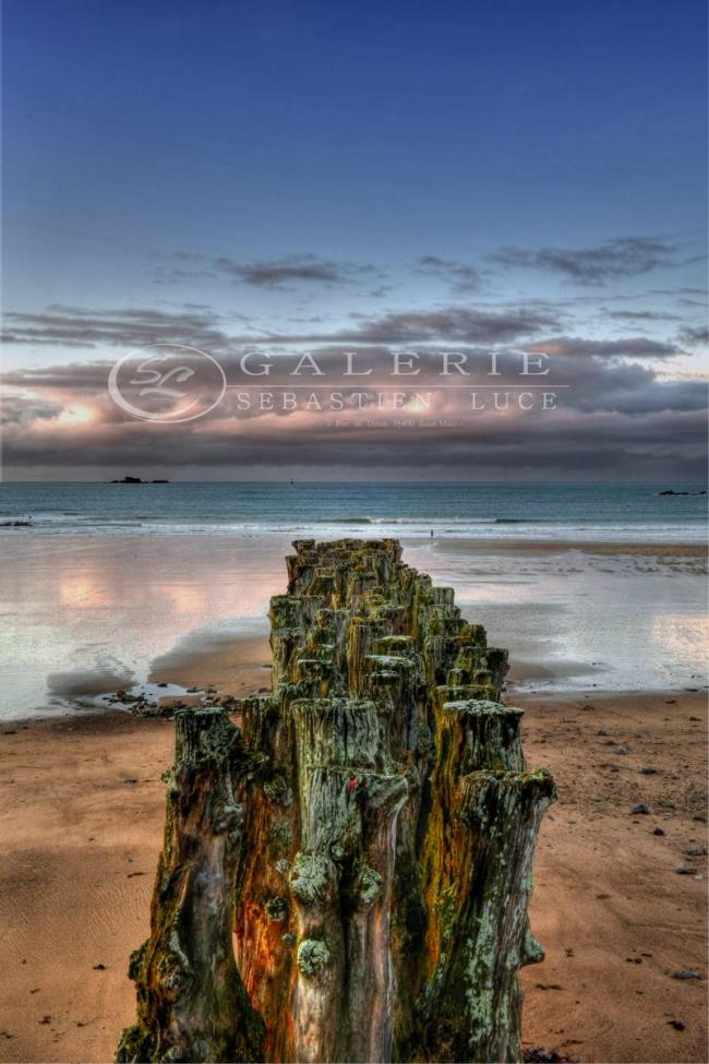 ligne de mire - Photographie Photographies d'art en édition limitée Galerie Sébastien Luce