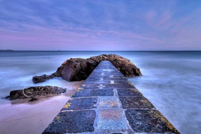 Epi de la Hoguette - Photographie Photographies d'art en édition limitée Galerie Sébastien Luce