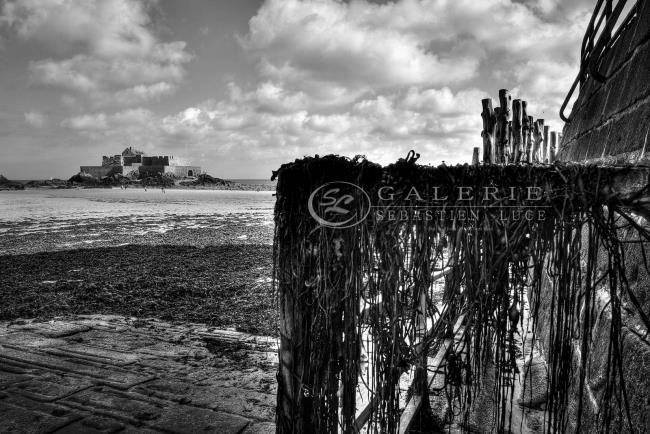 Cheveux d´ange - Photographie Photographies par thématiques Galerie Sébastien Luce
