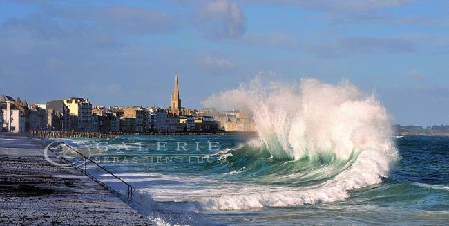 Eventail Marin. - Photographie Photographies d'art en édition limitée Galerie Sébastien Luce