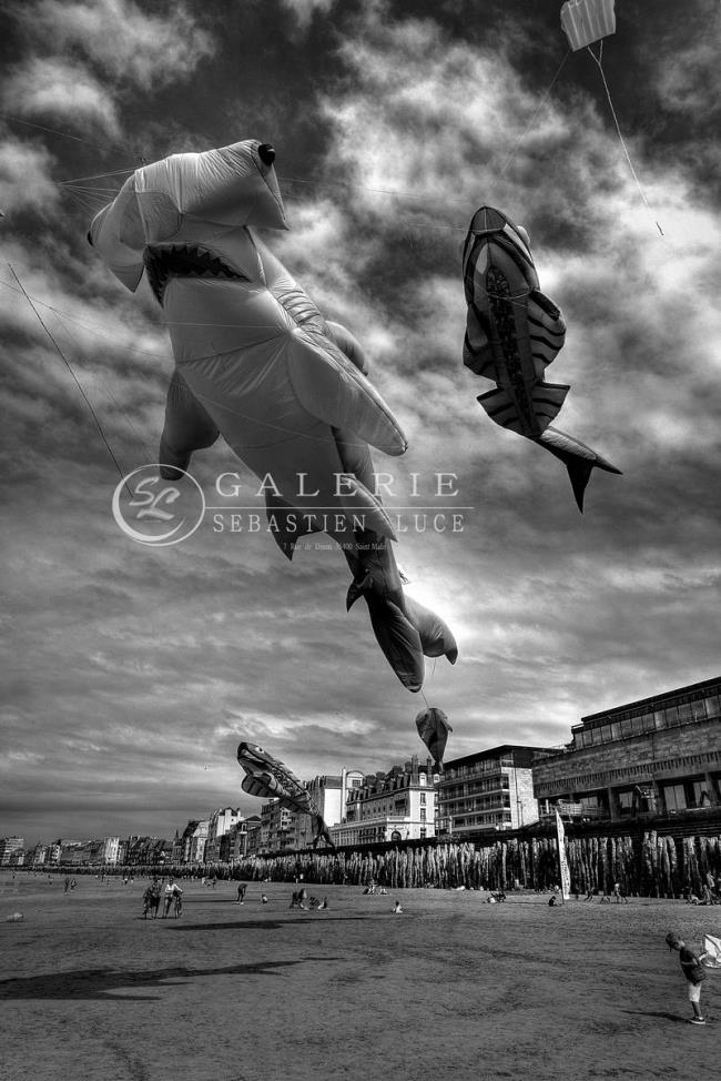Cerf-Volant - Photographie Photographies par thématiques Galerie Sébastien Luce