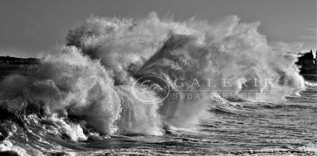 bouillonnement marin - Photographie Photographies d'art en édition limitée Galerie Sébastien Luce