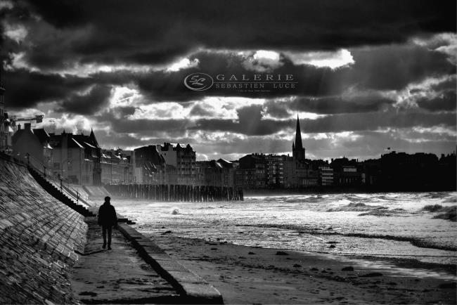 Rencontre avec la nature - Photographie Photographies par thématiques Galerie Sébastien Luce