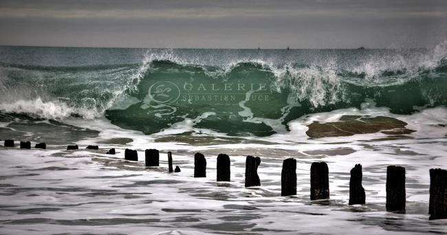 Vert Emeraude - Photographie Photographies d'art en édition limitée Galerie Sébastien Luce