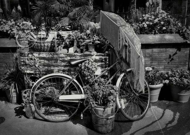 old bike - Photographie Photographies par thématiques Galerie Sébastien Luce