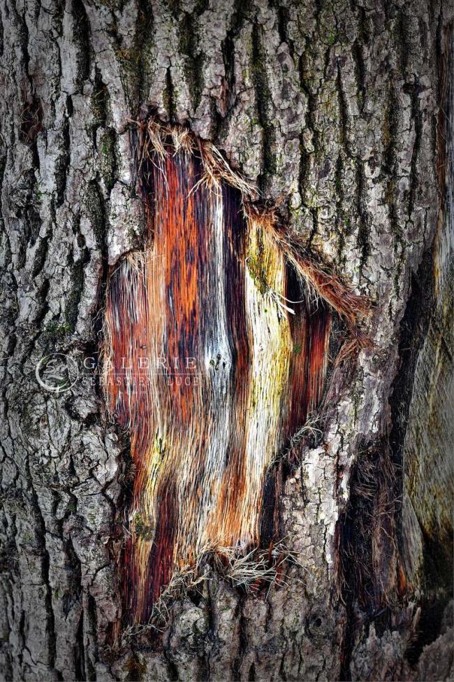 Ecorchure Brise-lames - Photographie Photographies d'art en édition limitée Galerie Sébastien Luce