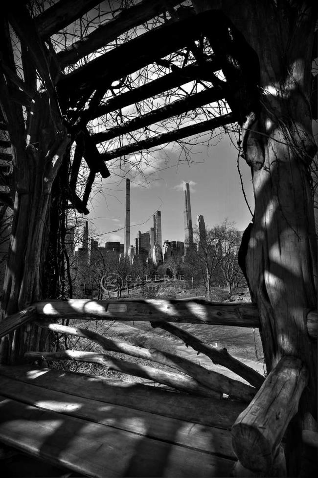 Central Park - Photographie Photographies d'art en édition limitée Galerie Sébastien Luce