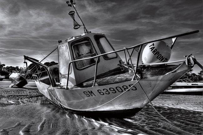 TARPON II - Photographie Photographies par thématiques Galerie Sébastien Luce