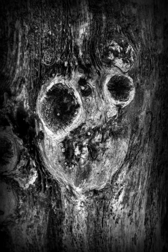 Un certain regard -St Malo - Photographie Photographies d'art en édition limitée Galerie Sébastien Luce