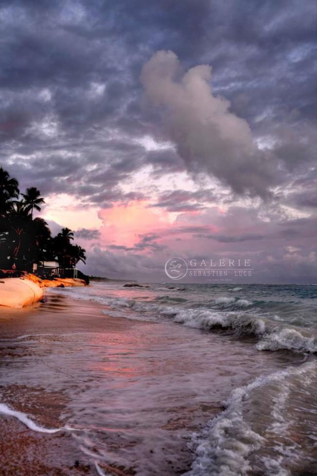 Rose Bonbon - Photographie Photographies d'art en édition limitée Galerie Sébastien Luce